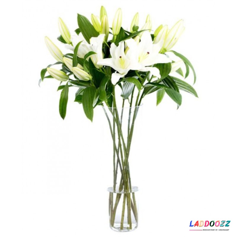 White Oriental Lilies for Home or Office